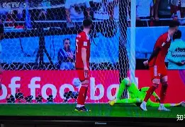 欧洲杯预选赛威尔士对波兰